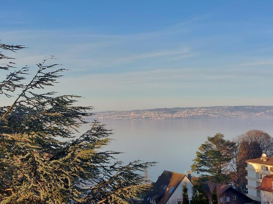 Le Mirabeau Vue Lac Évian-les-Bains Екстериор снимка